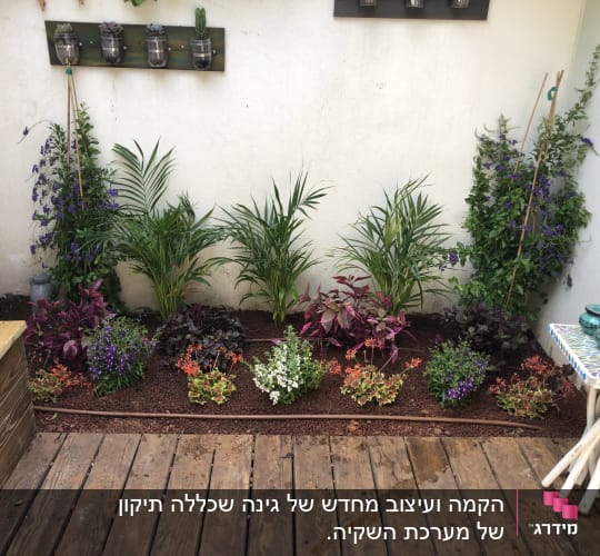 גינה קטנה עם צמחים ופרחים צבעוניים על אדמה חומה